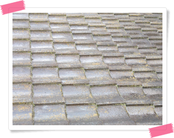 Bandicam_20131108_223941394