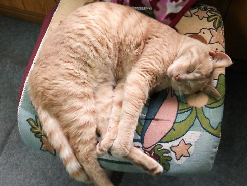 2014y04m22d_190818921