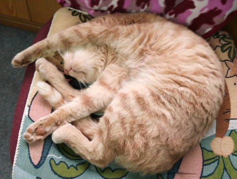 2014y04m22d_190859029