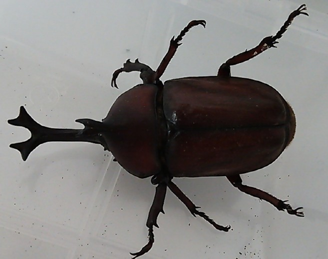 2014y07m06d_182419987