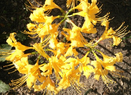 2014y10m03d_221716096