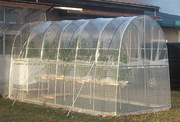 2016y07m06d_173322630