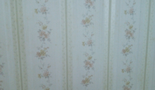 2018y05m13d_174750056