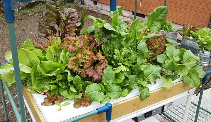 2019y02m24d_172818277