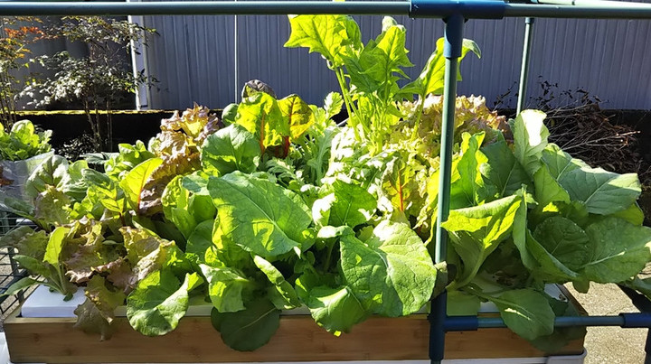 2019y03m11d_194032920