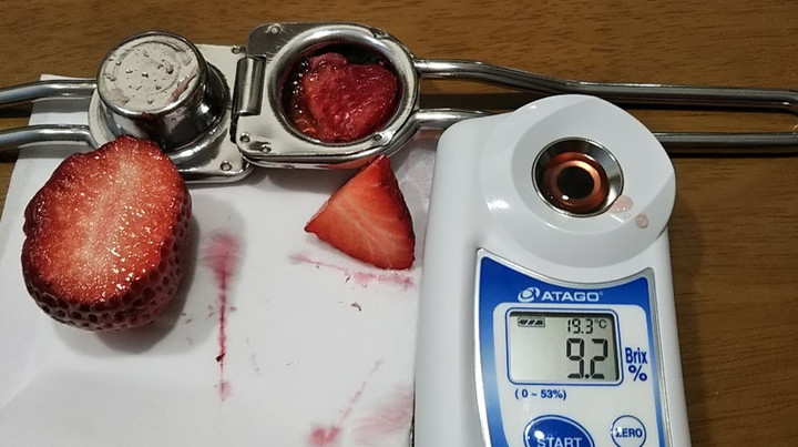 2019y03m15d_210041572