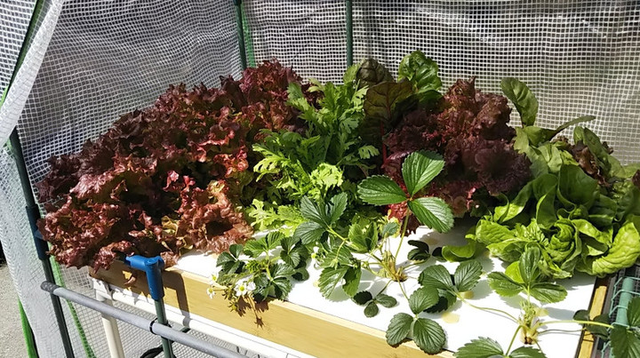 2019y03m15d_210342860