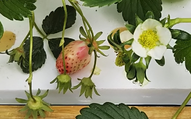 2019y03m30d_183024701