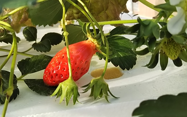 2019y03m30d_183118958