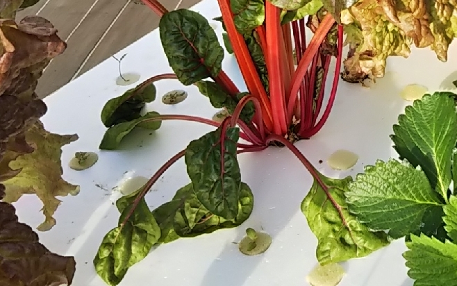 2019y03m30d_183950107