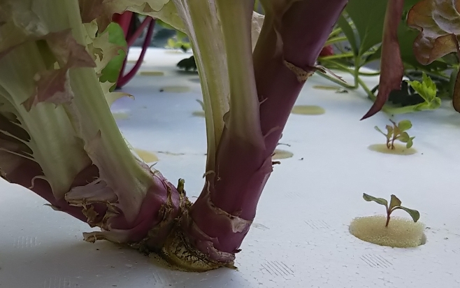 2019y03m31d_212125411