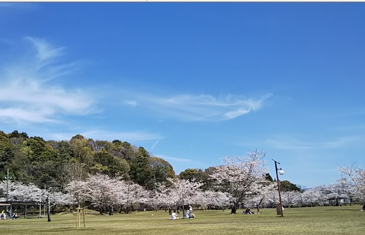 2019y04m04d_203847555