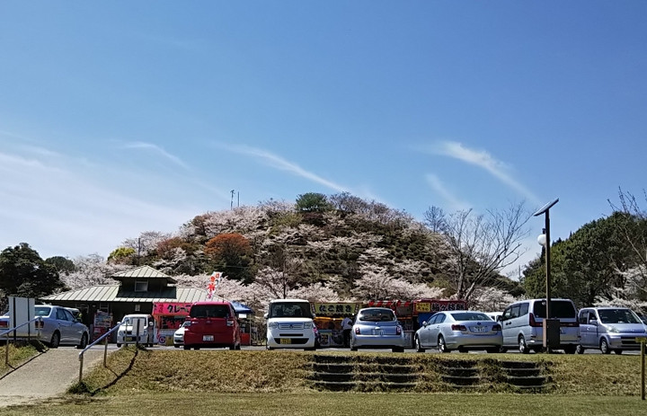 2019y04m04d_203930393