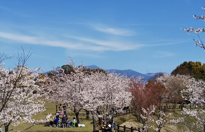 2019y04m04d_204101434