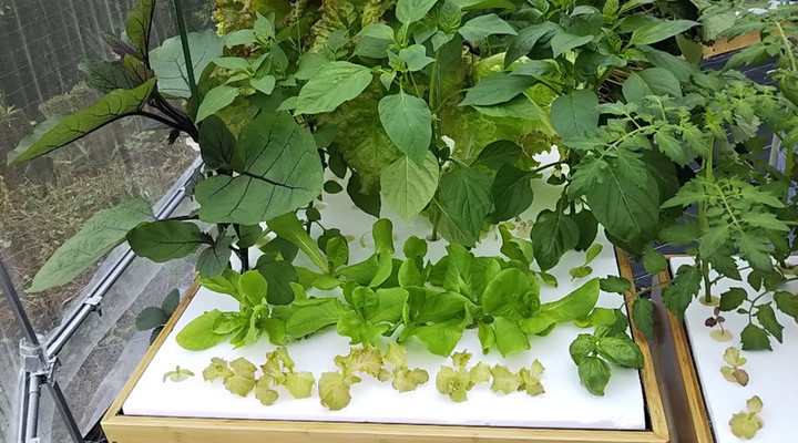 2019y06m03d_193601578