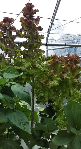 2019y06m14d_205929990