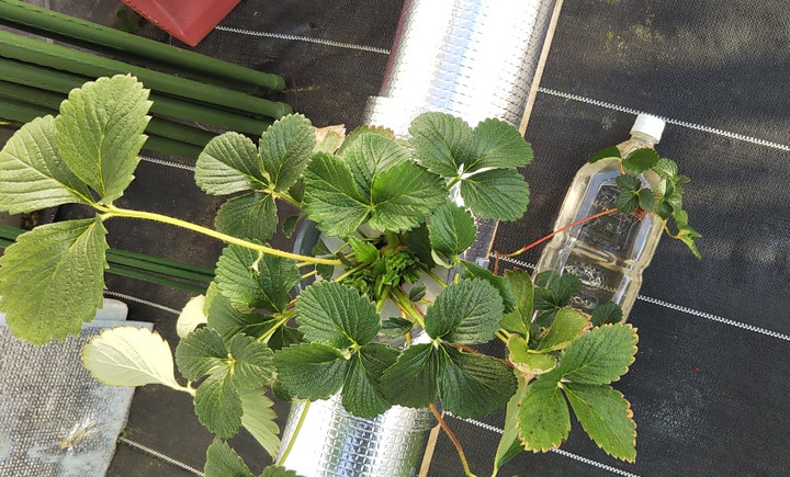 2020y02m09d_211812864