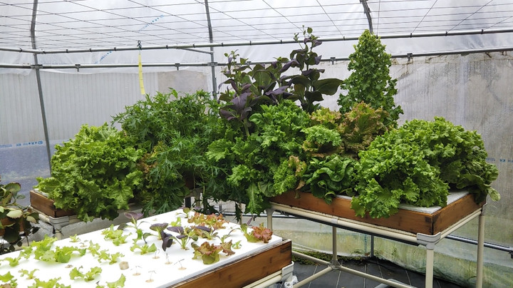 2020y02m26d_153952827