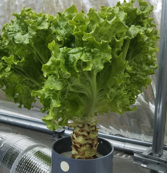 2020y03m03d_201100885