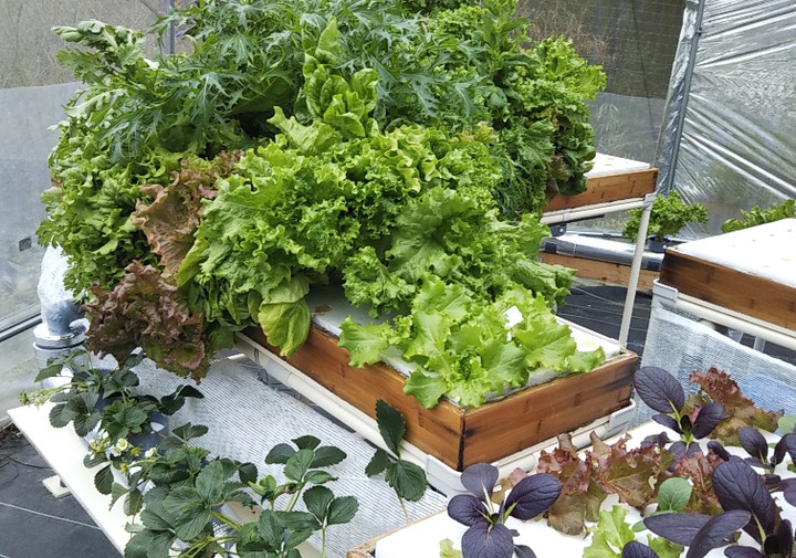 2020y03m03d_201608426