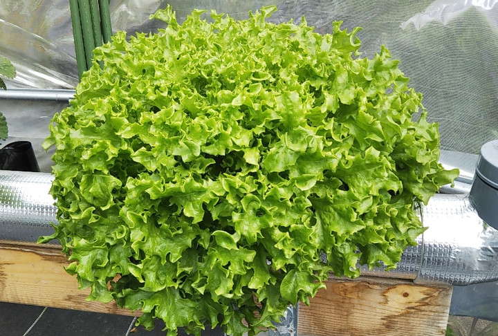 2020y03m13d_163036468