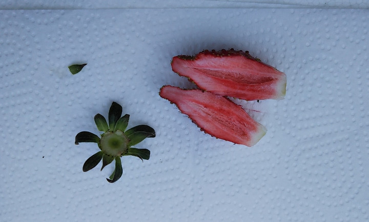 2020y04m16d_204920290