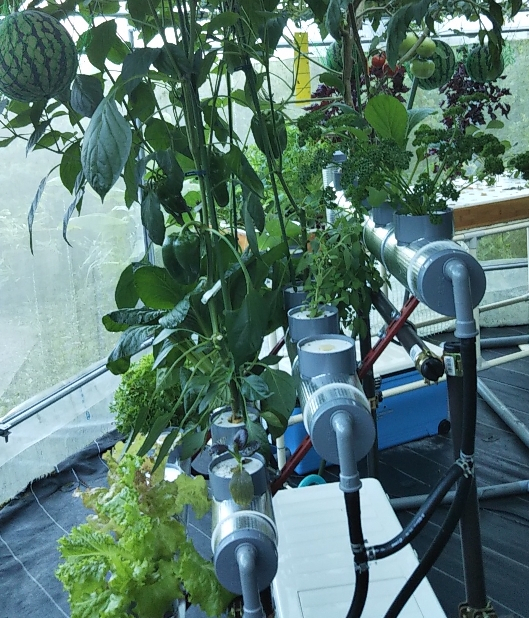 2020y06m26d_223540877