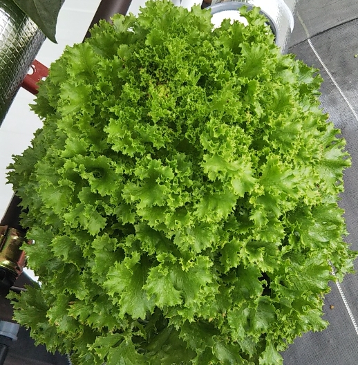 2020y06m26d_224235600