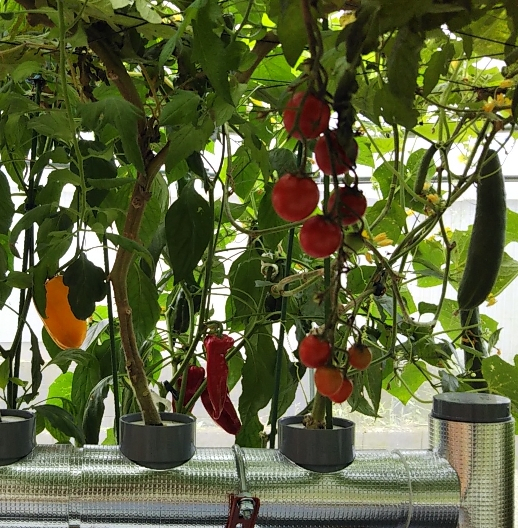 2020y07m26d_133911601