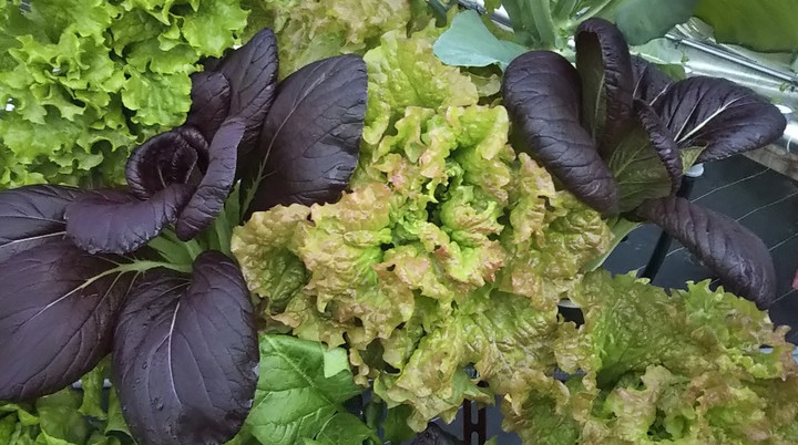 2020y11m29d_114319959