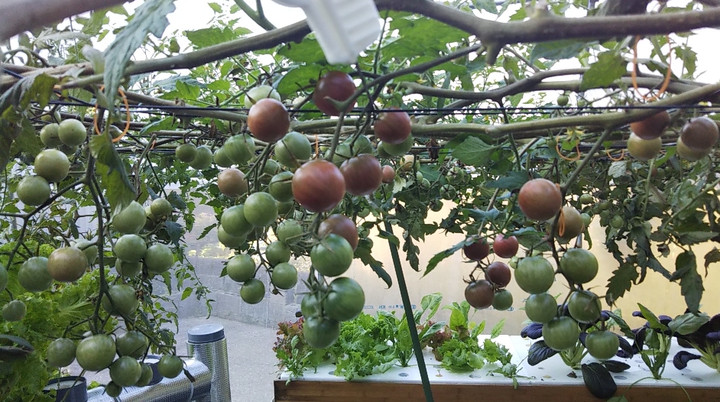 2020y11m29d_114657676