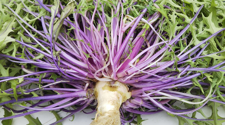 2021y03m08d_222736156