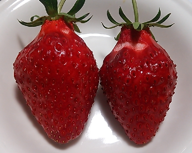 2021y05m23d_203433478