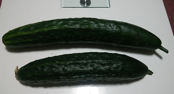 2021y05m23d_203722760