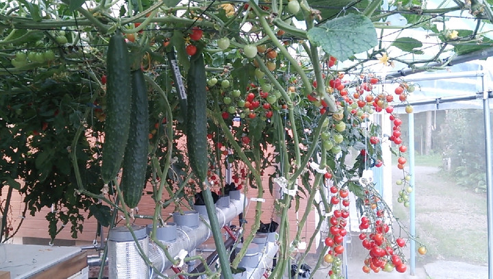 2021y07m01d_222613398