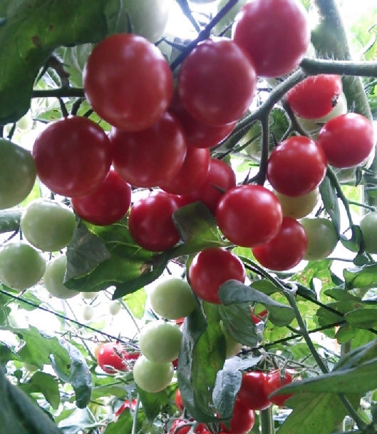 2021y07m01d_225137038