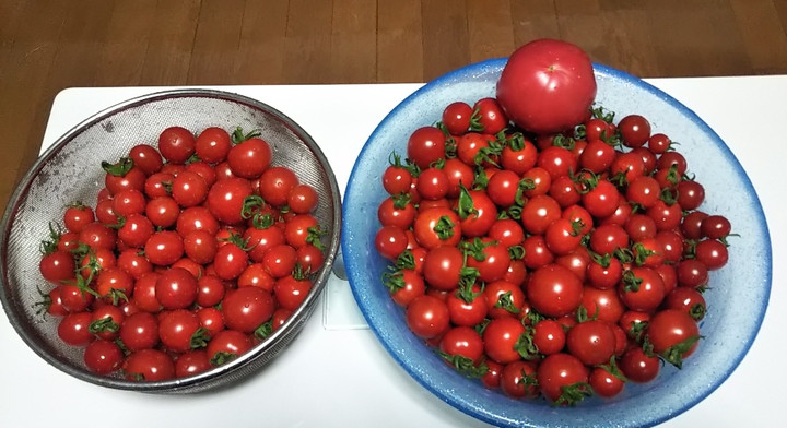 2021y07m05d_230407767