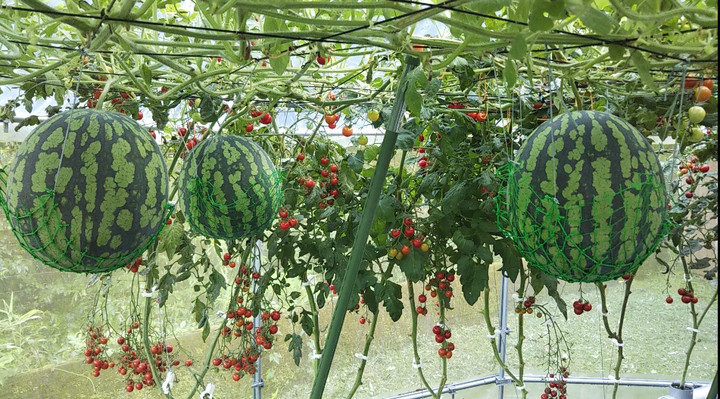 2021y07m09d_223609389