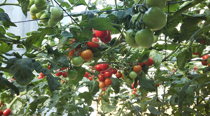 2021y07m09d_225130851