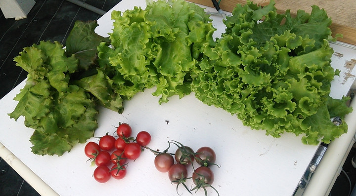 2021y09m22d_221331895