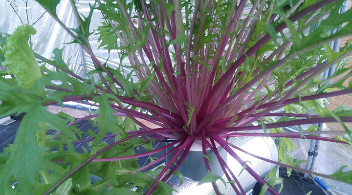 2021y10m23d_000309994