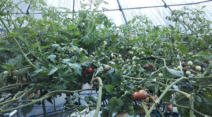 2021y11m03d_001549002