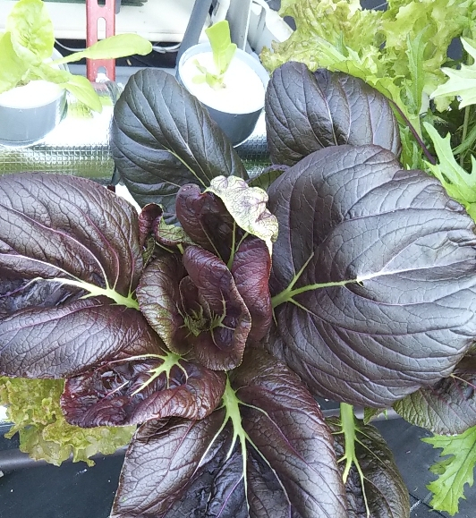 2021y11m03d_005839603