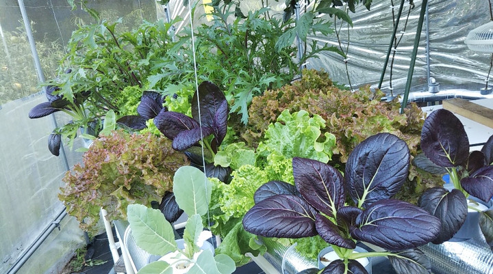 2021y11m03d_011323186