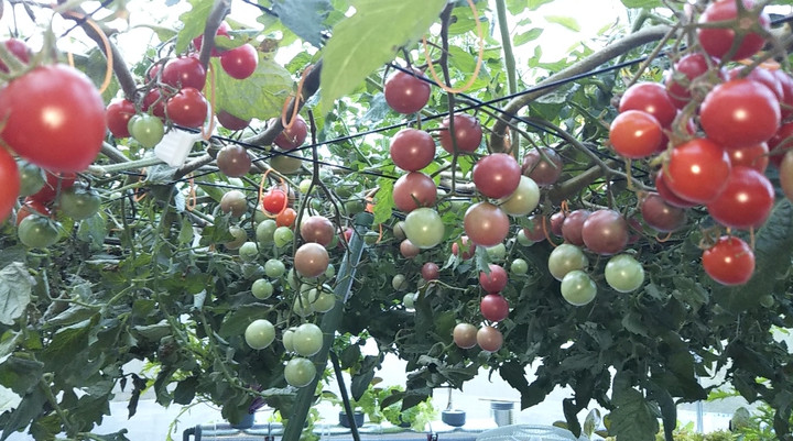 2021y11m03d_011859472