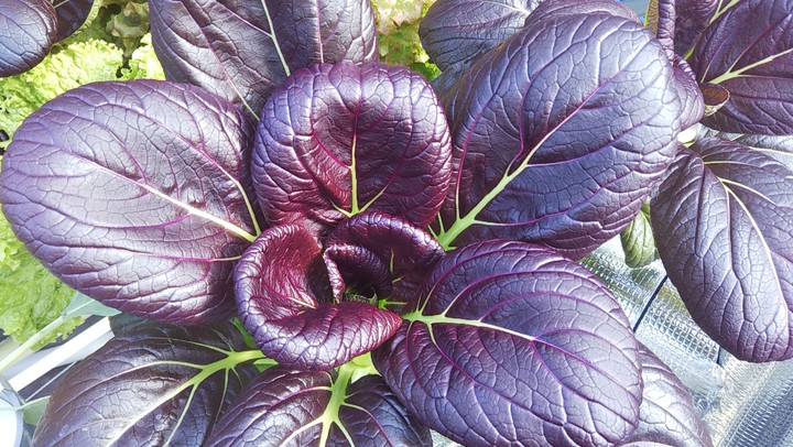 2021y11m14d_154434108