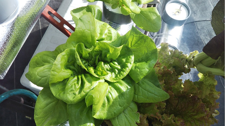 2021y11m14d_154510578