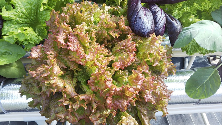 2021y11m14d_154514397