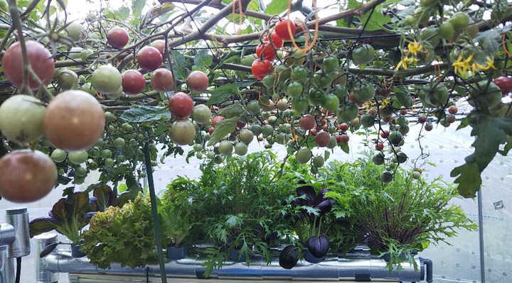 2021y11m23d_143425350_2