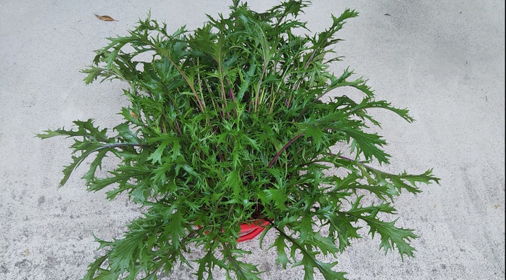 2021y11m23d_143850302